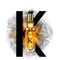 Oleo Elixir Ultime e um produto para dar brilho no cabelo