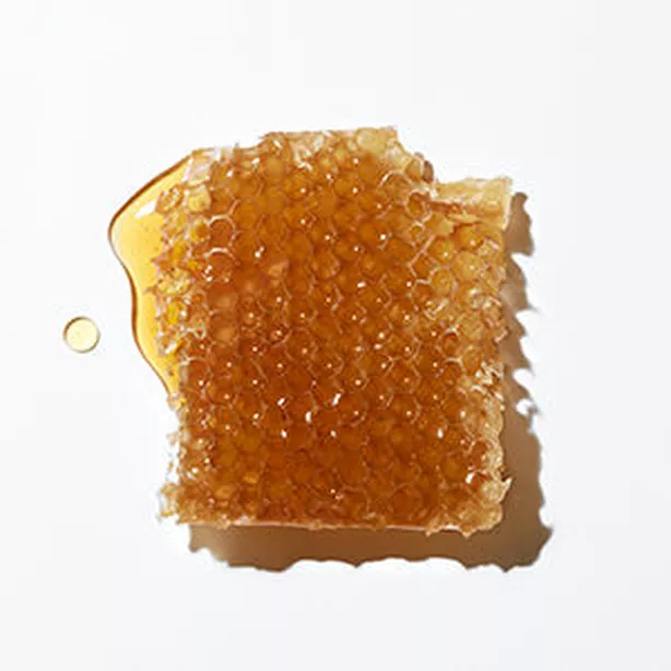 O que e Mel de Manuka