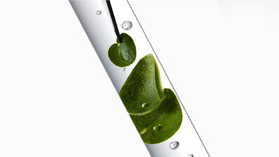 Ingredientes Chrome