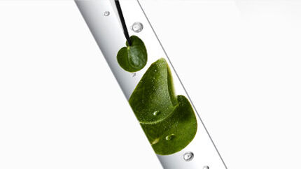 Ingredientes Chrome