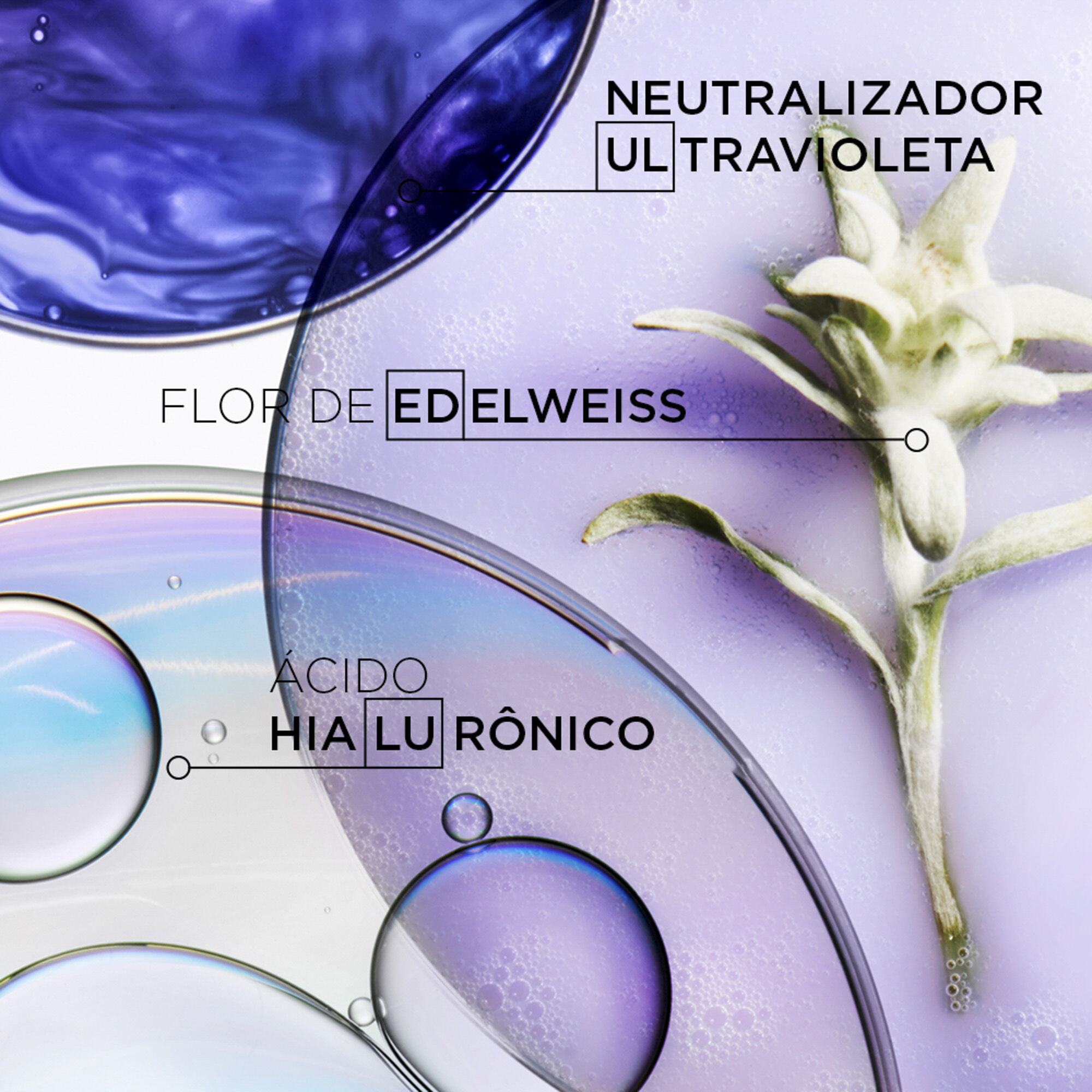 Ingredientes do Shampoo Kerastase Blond Absolu Bain
                        Ultra-Violet