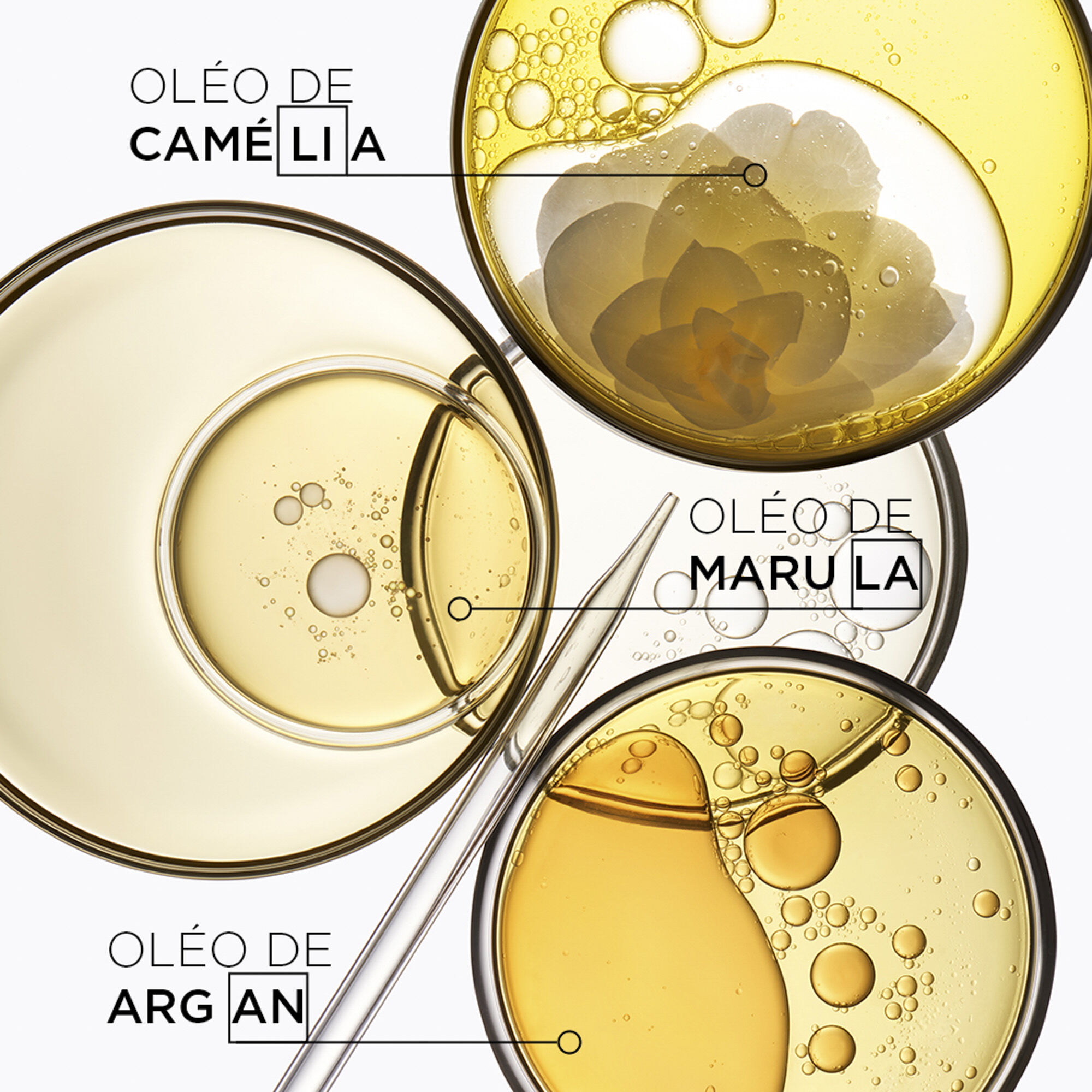 Oleo L'Huile Original Rabbit Rouge