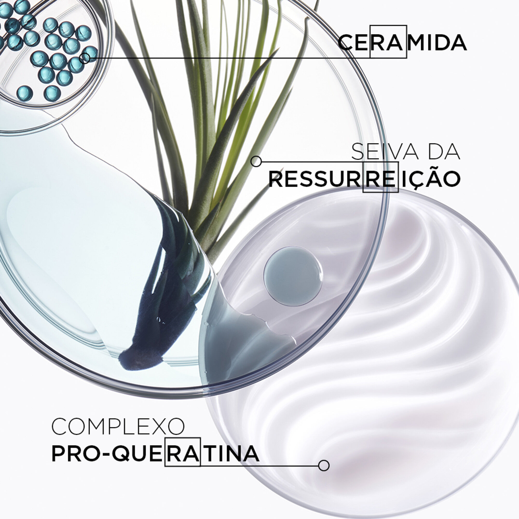 Ingredientes Mascara Kerastase Resistance Force Architecte