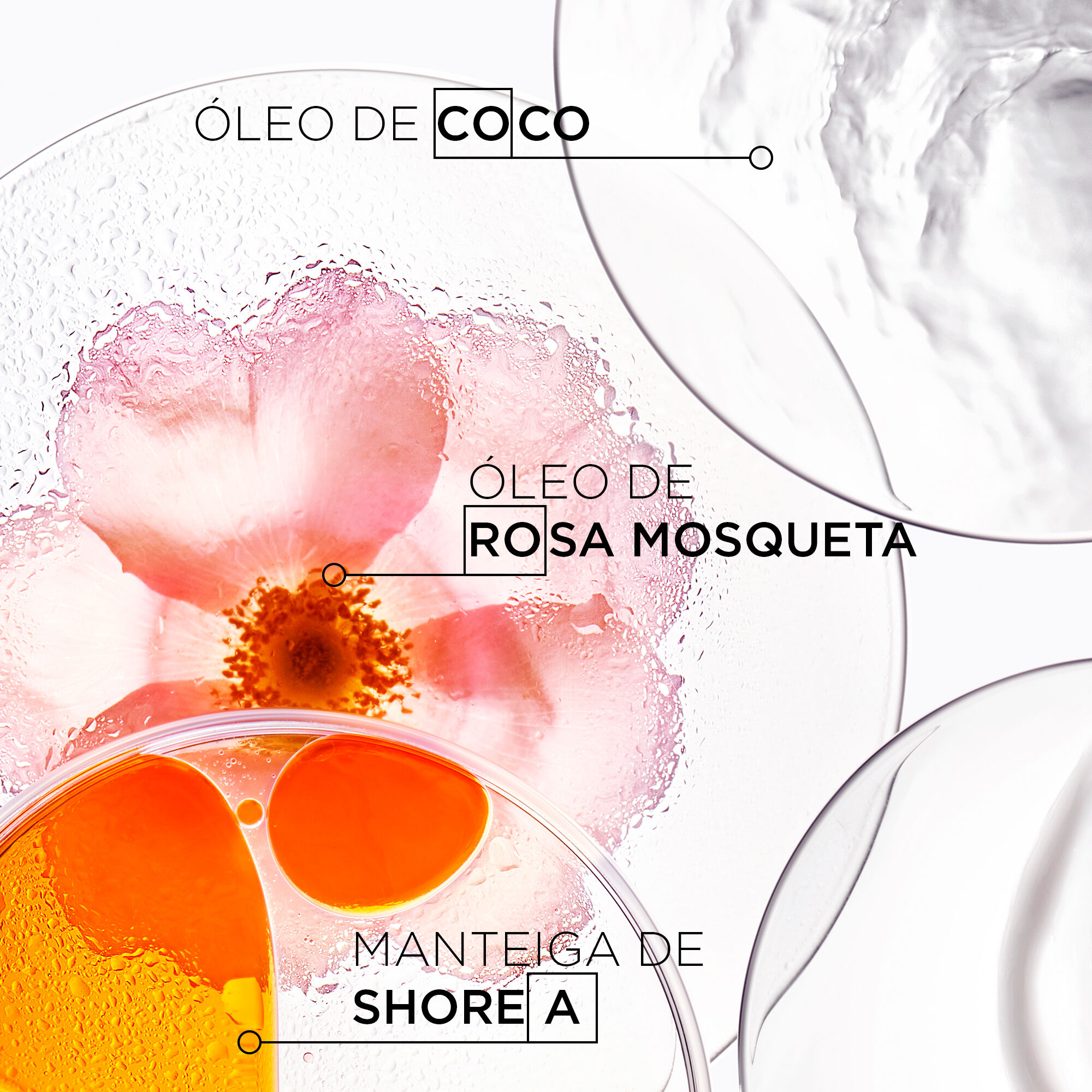 Ingredientes do Shampoo Kerastase Discipline Bain Oleo-Relax