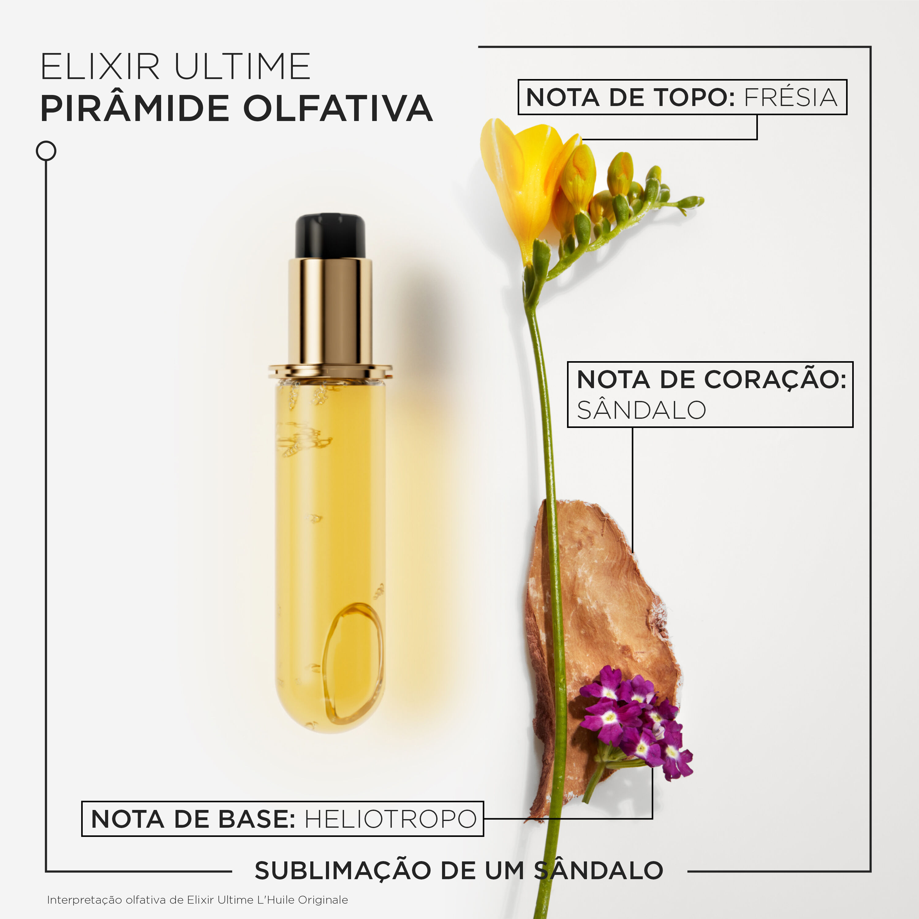 Oleo Kerastase Elixir Ultime L'Huile Originale