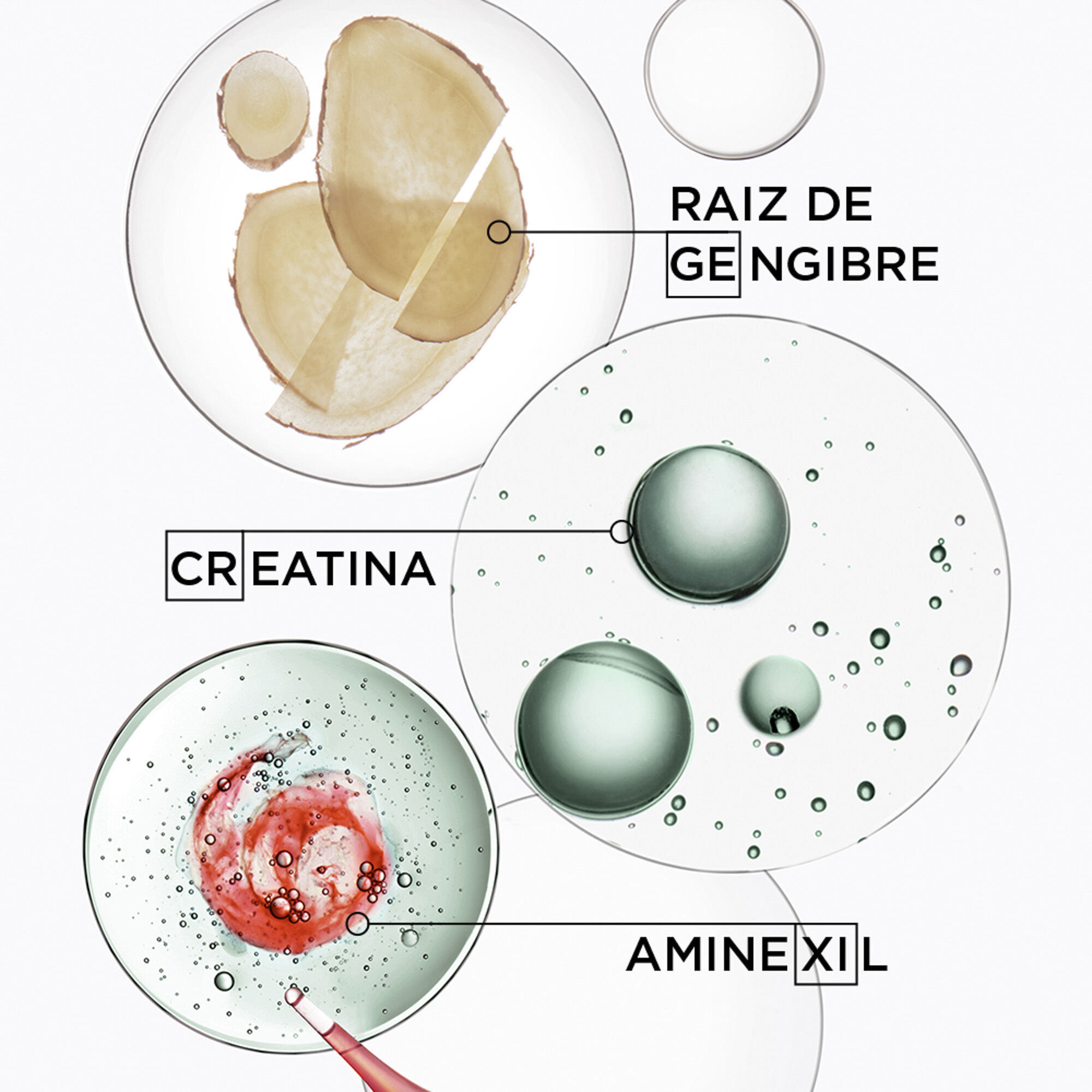 Shampoo Kerastase Genesis Homme Bain de Masse Epaississant formulado com Rai de Gengibre, Creatina e Amnexil