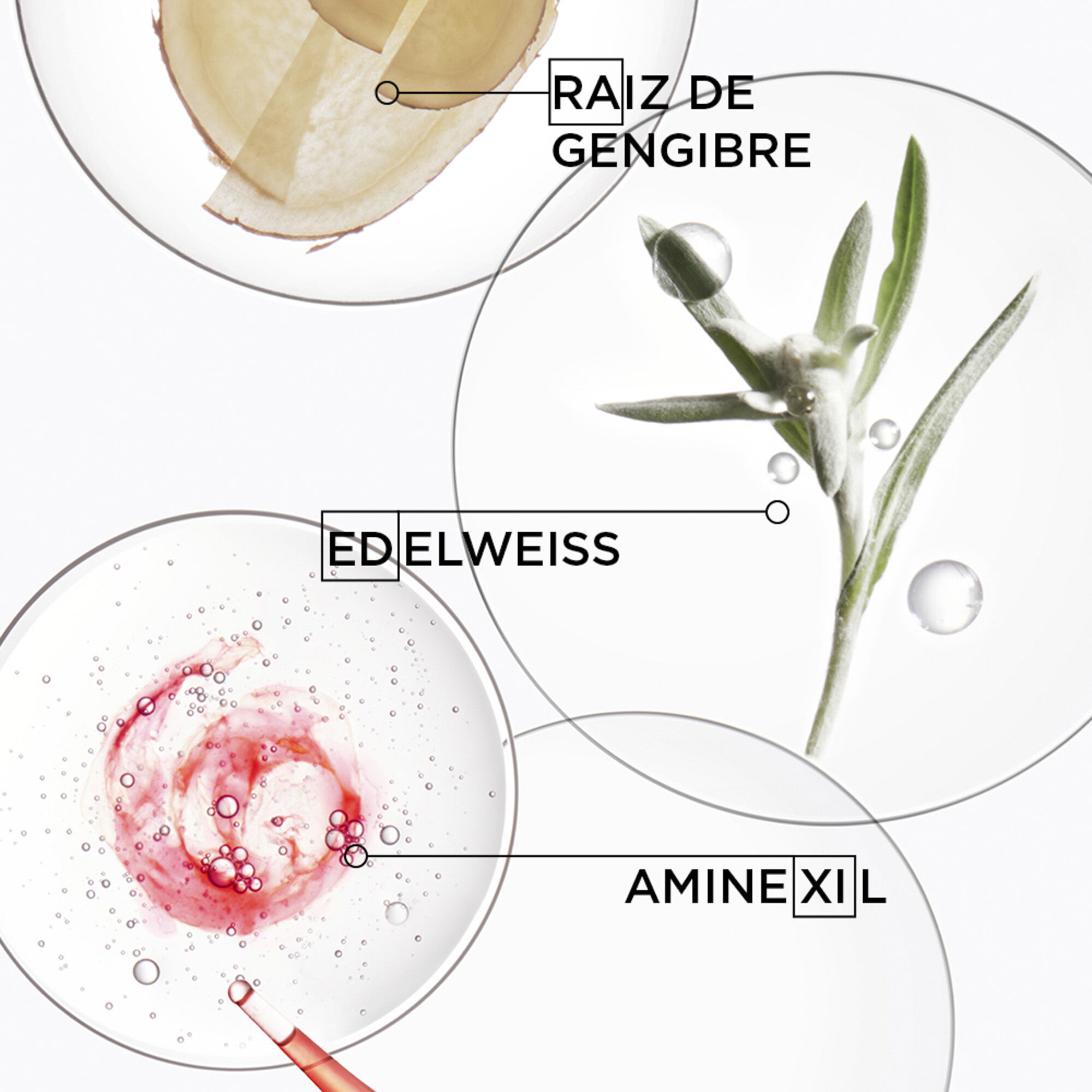 Ingredientes do Spray Kerastase Genesis Defense Thermique