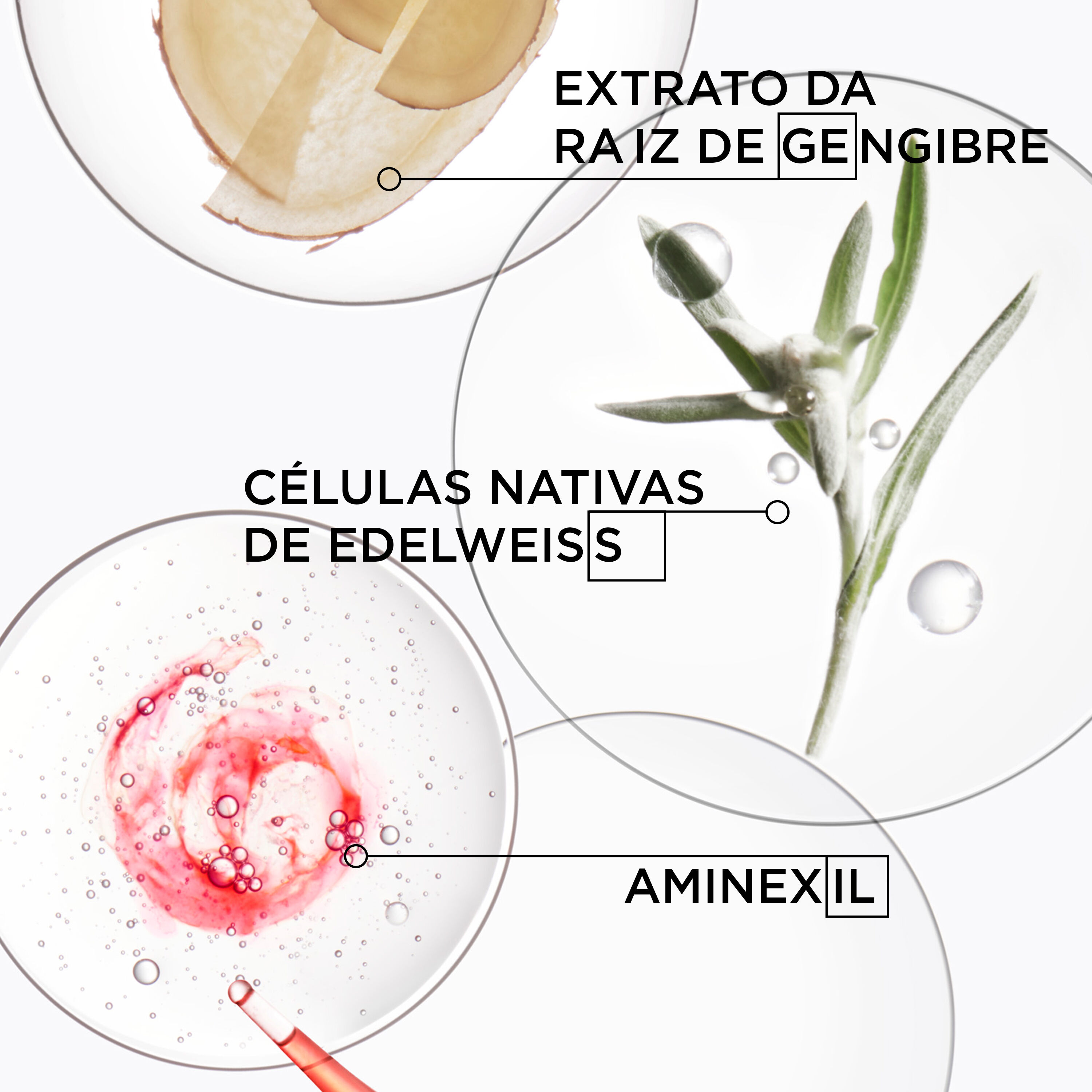 Ingredientes Refil Shampoo Kerastase Genesis Bain Hydra-Fortifiant