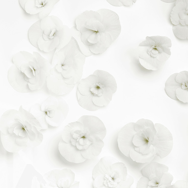 Notas de Corpo da Fragrância de Elixir Ultime Bain e Masque