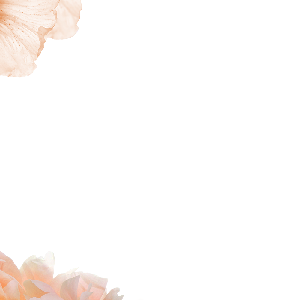 Fragrância da coleção Gloss Absolu 2