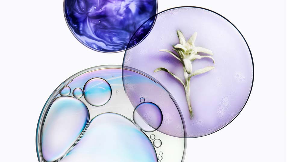 Sérum para cabelos loiros Blond Absolu Cicanuit é formulado com Ácido Hialurônico e Flor de Edelweiss Ingredientes do Sérum Blond Absolu Cicanuit para cabelos loiros