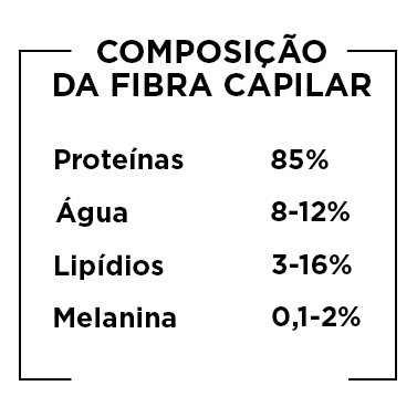 Composição Completa da FIbra Capilar Composição da Fibra Capilar
